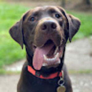 Meet your Posher, Benjamin